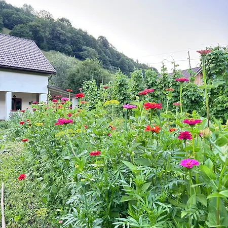 Family House * クワイスィア