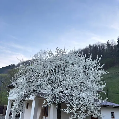 シャレー Family House *